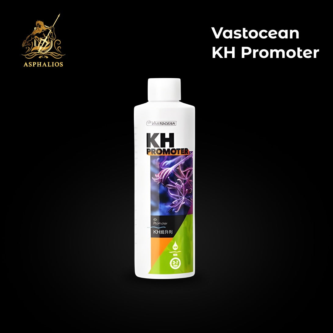 Vastocean KH Promoter