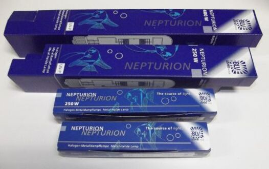 BLV nepturion metal-halide lamp