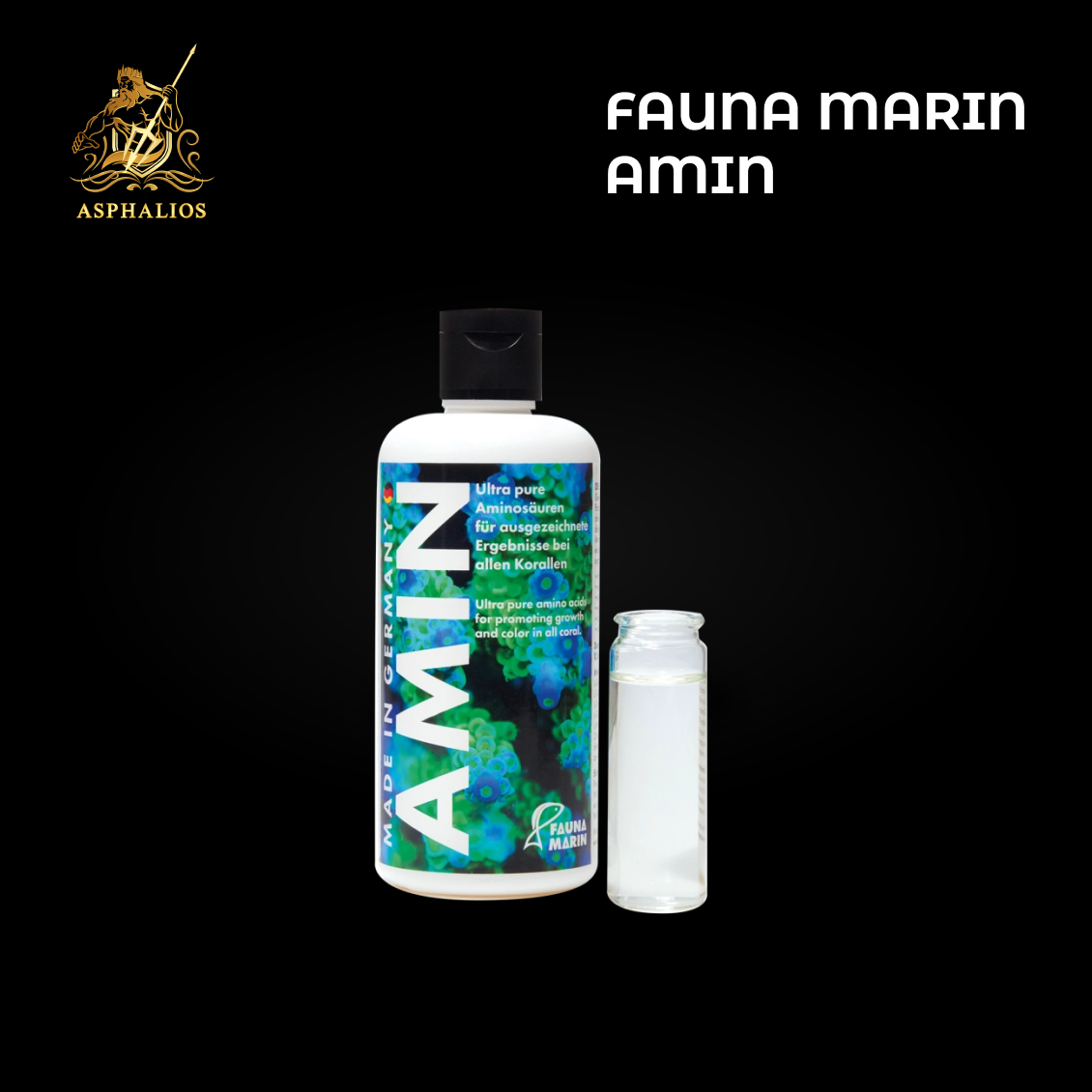 Fauna Marin Amin