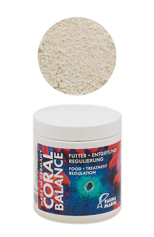 Fauna Marin Coral Balance